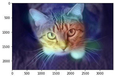 cat heatmap.png